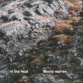 In The Heat (Vinyl) - Apocalypse Vinyl