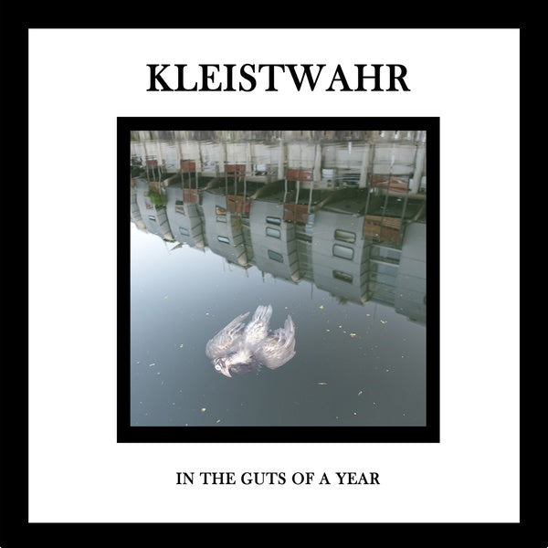 In the Guts of a Year (CD)