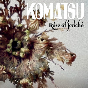 Rose Of Jericho (Vinyl) - Apocalypse Vinyl