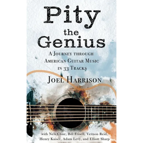 Pity the Genius: A Journey through American Guitar Music in 33 Tracks