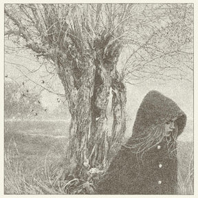 Between the Earth and Sky (Vinyl) - Apocalypse Vinyl