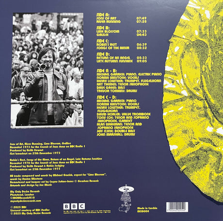 Late Autumn Sunshine [Vinyl]