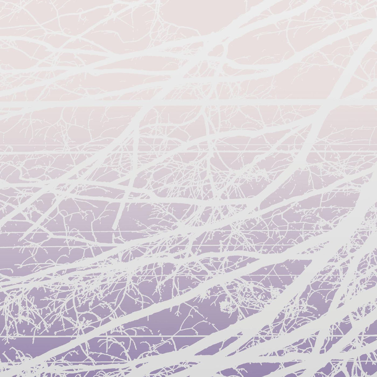 Metal Aether / Resonant Field (Vinyl) - Apocalypse Vinyl