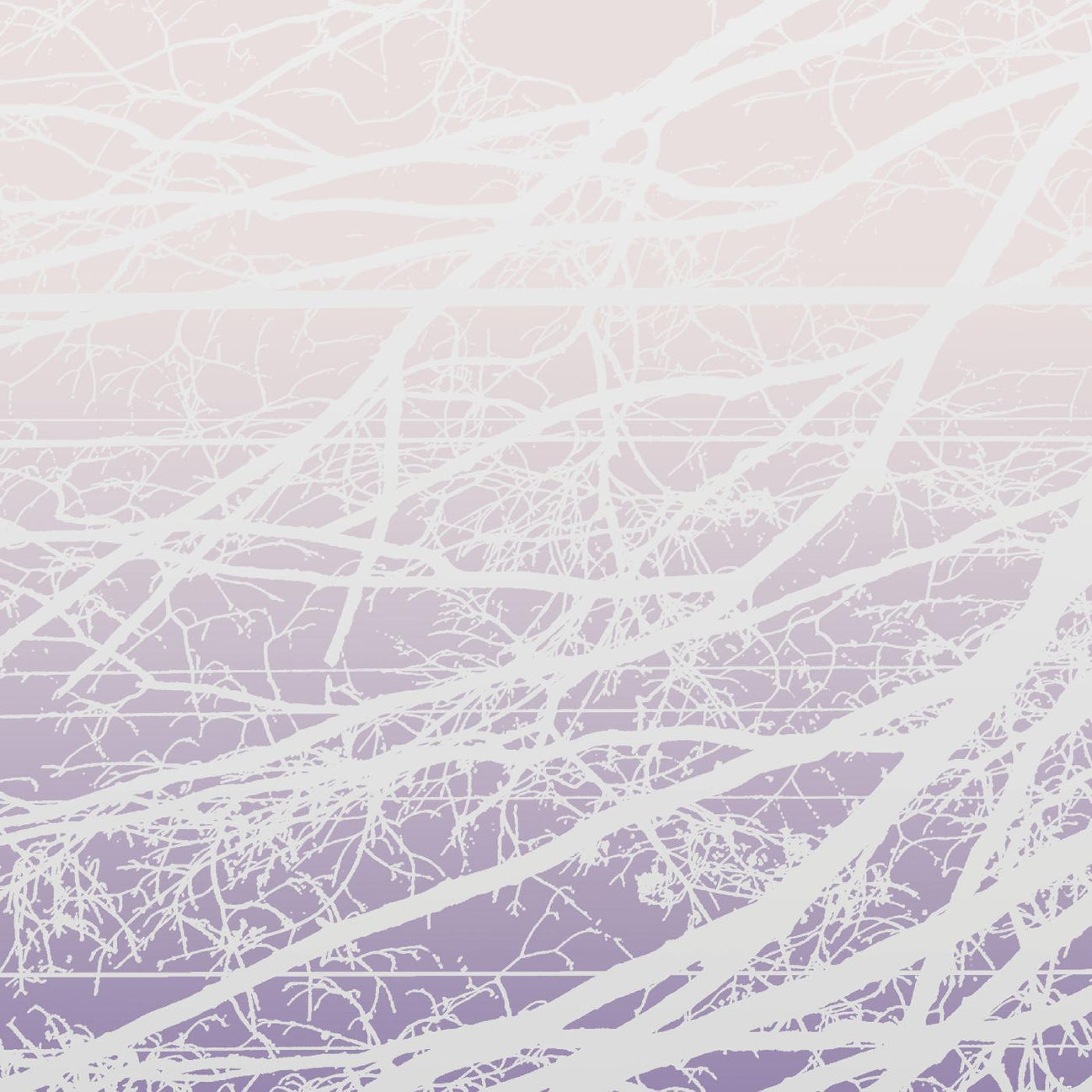 Metal Aether / Resonant Field (Vinyl) - Apocalypse Vinyl