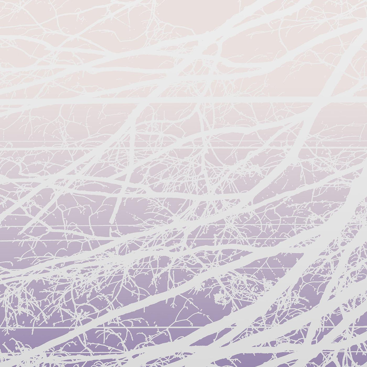 Lea Bertucci - Metal Aether [CD]