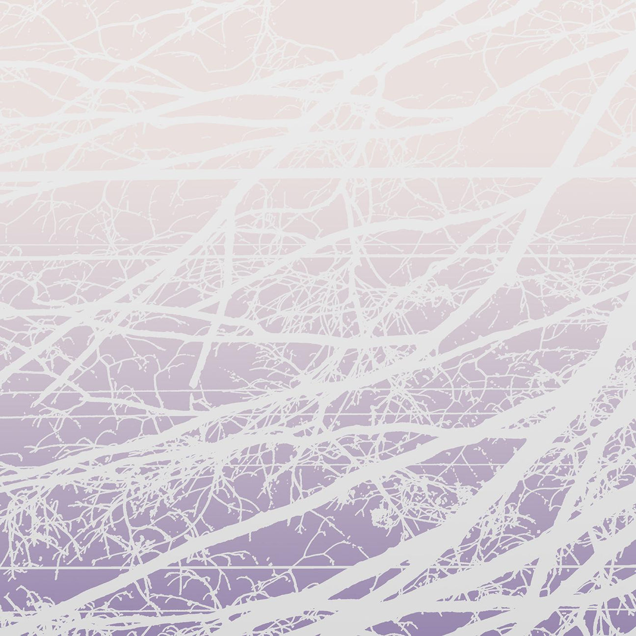 Lea Bertucci - Metal Aether [CD]