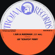 I Am A Madman (Vinyl)