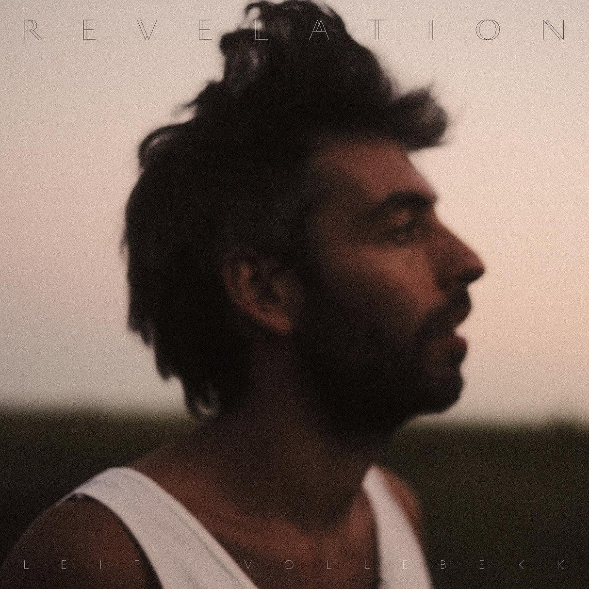 Leif Vollebekk Revelation [音乐 CD]