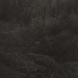 Lesley Mok - Transient [Vinyl]