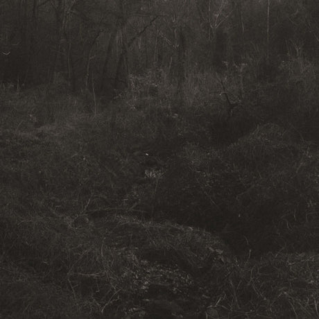 Lesley Mok - Transient [Vinyl]
