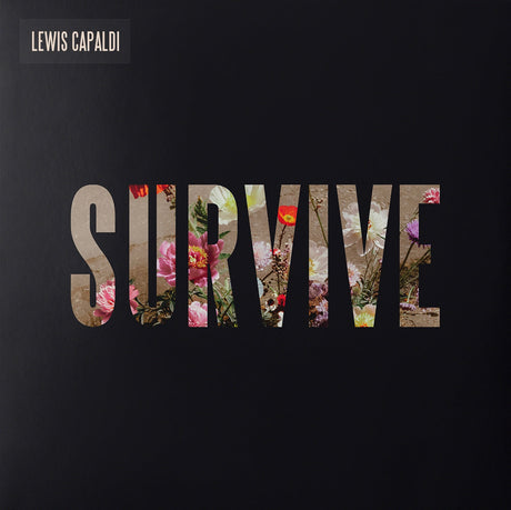 Survive [Clear 12" EP] [Vinyl]