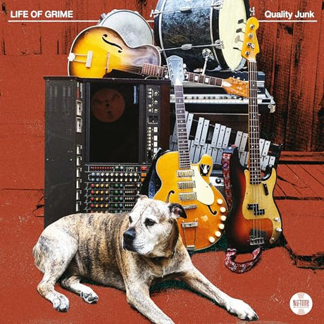 Quality Junk (Indie-Exclusive Colored Vinyl Lp) (Vinyl)