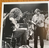 Widespread Panic Live From Austin TX (Blue Marble) ( [Records & LPs]