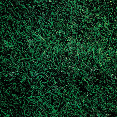 To Allen Ginsberg (Vinyl)