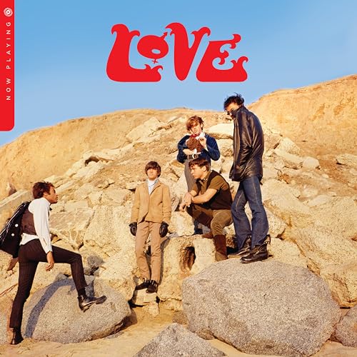 Love Now Playing [Vinyl]