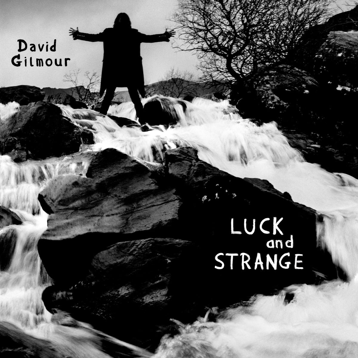 David Gilmour Luck and Strange (Vinilo translúcido azul marino) [Discos y LP]