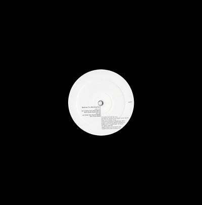 Beelines for Working Bees [Vinyl]