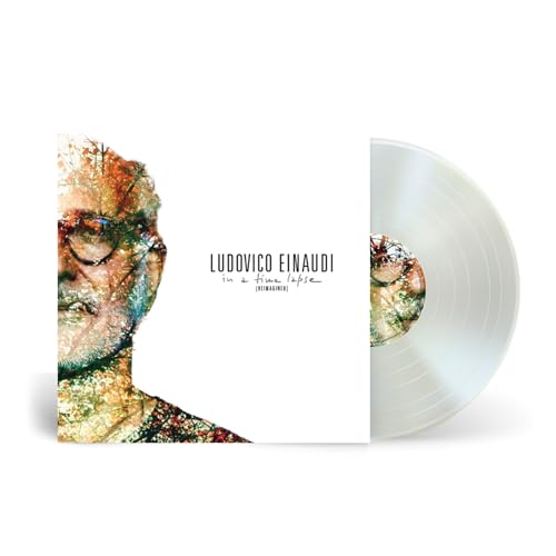 In A Time Lapse (Reimagined) [2 LP] (Vinyl)