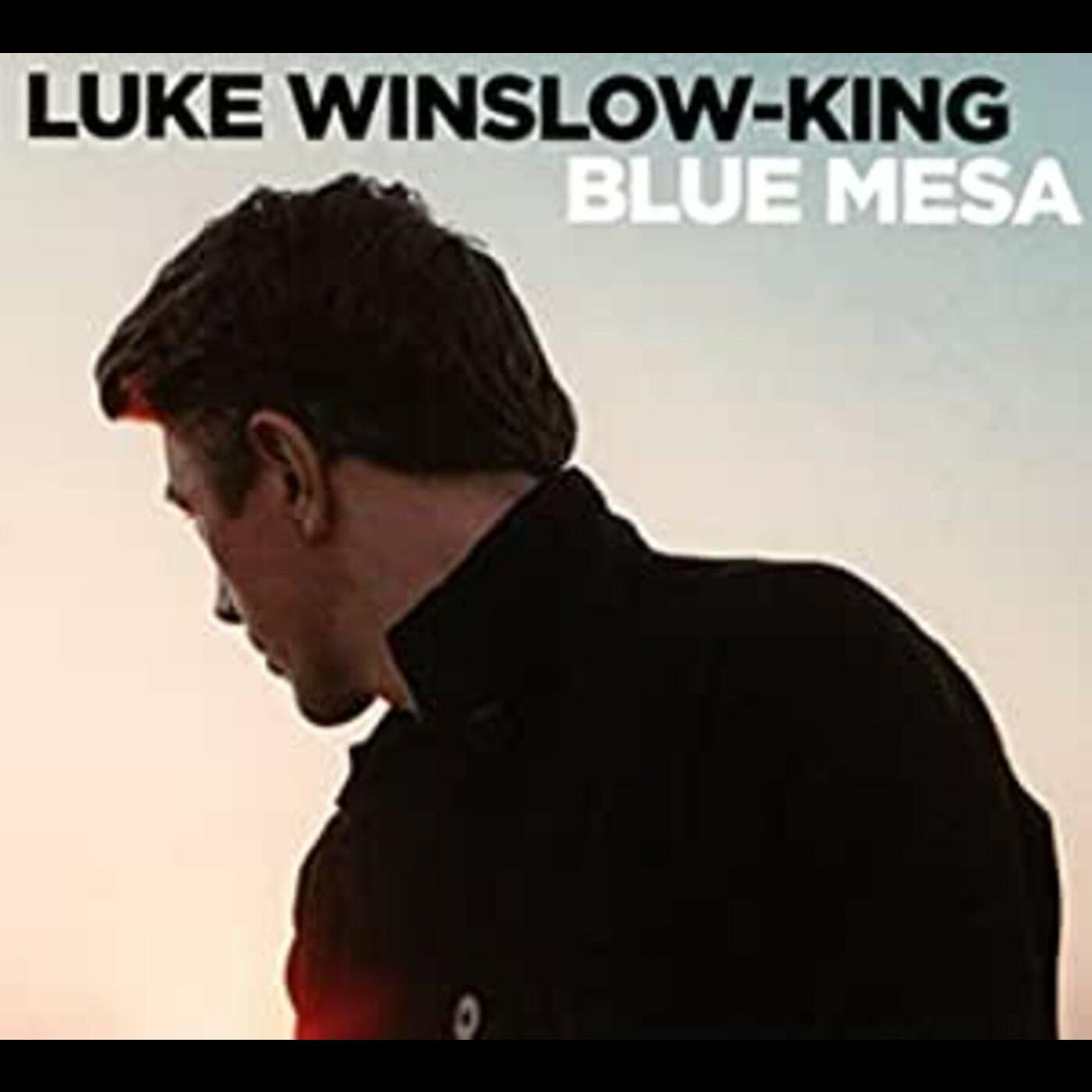 Luke Winslow-King Blue Mesa [Music CDs]