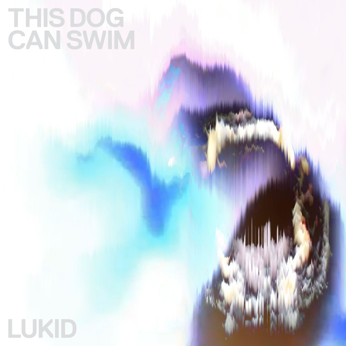 This Dog Can Swim 12" (Vinyl)