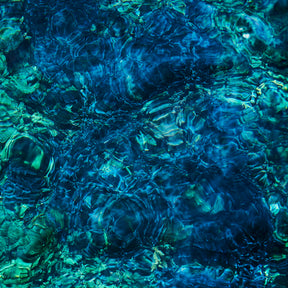 Luminescent Creatures (Vinyl)