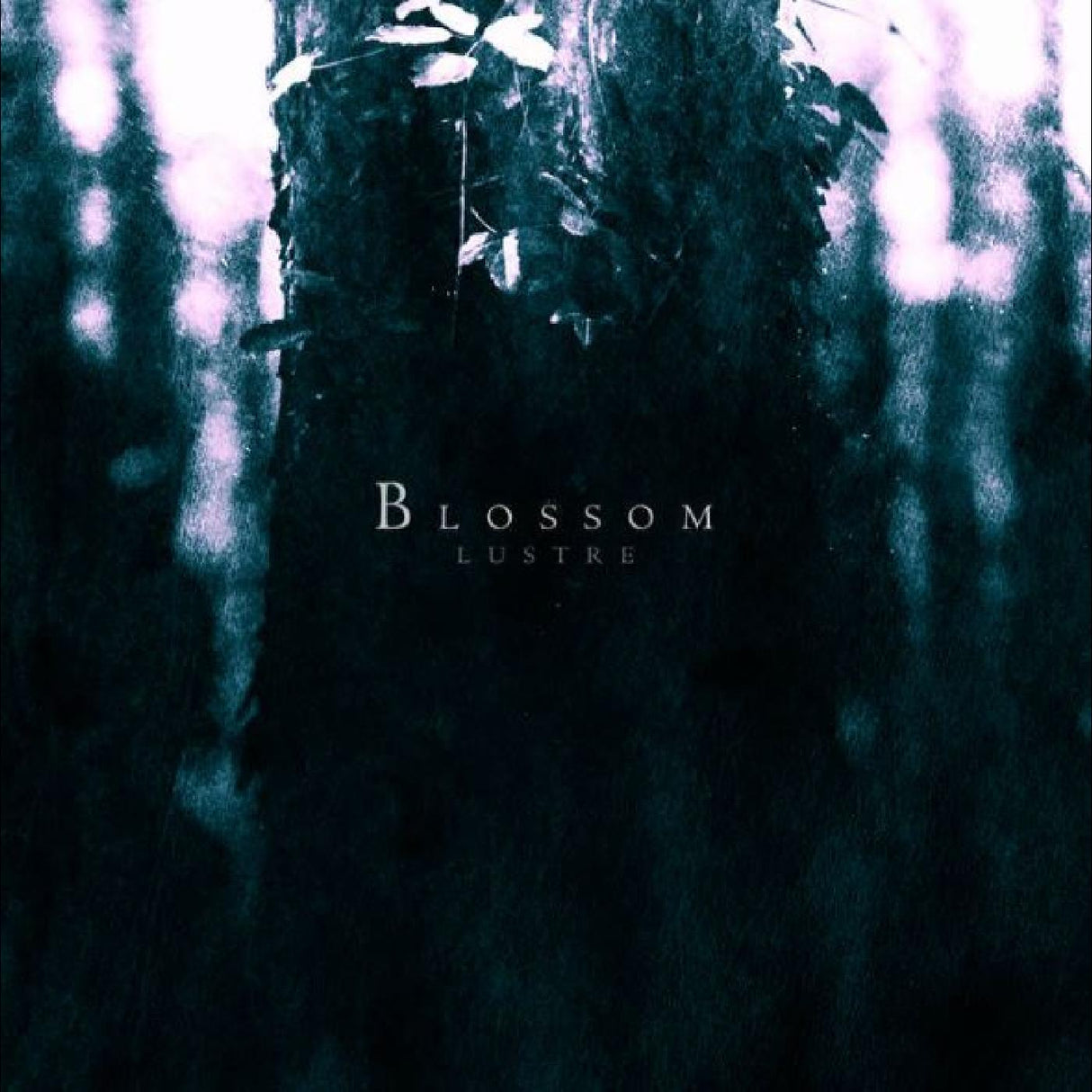 Blossom (CD)