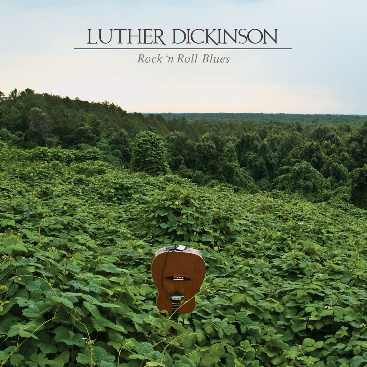 Luther Dickinson Rock 'n Roll Blues (VINILO VERDE TRANSLÚCIDO) [Discos y LP]