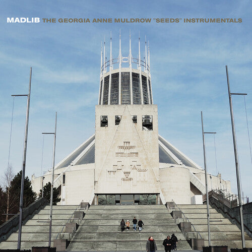 Seeds (Instrumentals) (Vinyl)