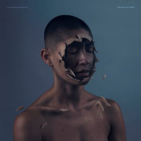 The Valley Of Vision [LP] (Vinyl)
