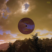 Sky Dice / Mapping the Studio (Vinyl) - Apocalypse Vinyl