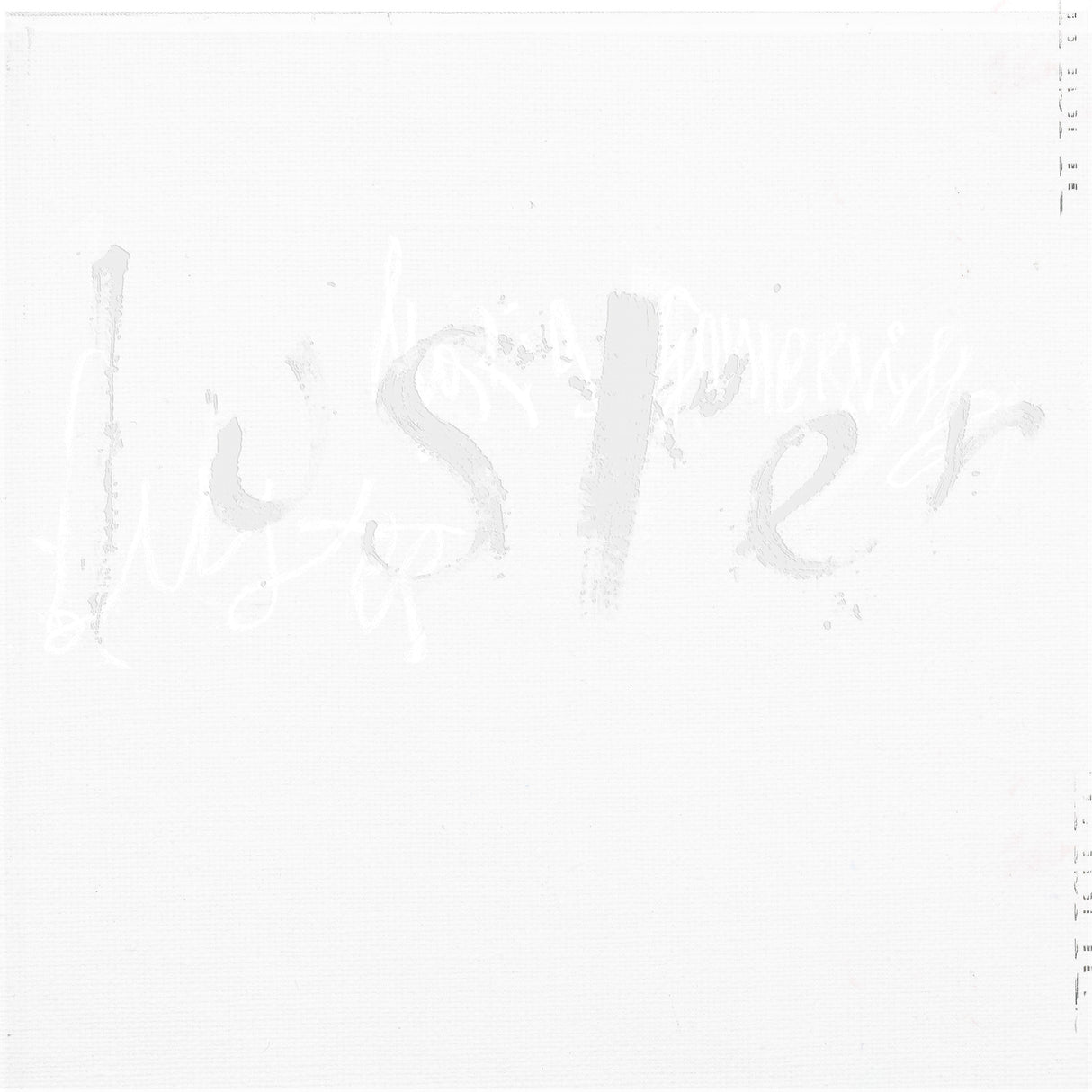 Luster (Clear Vinyl) (Vinyl)