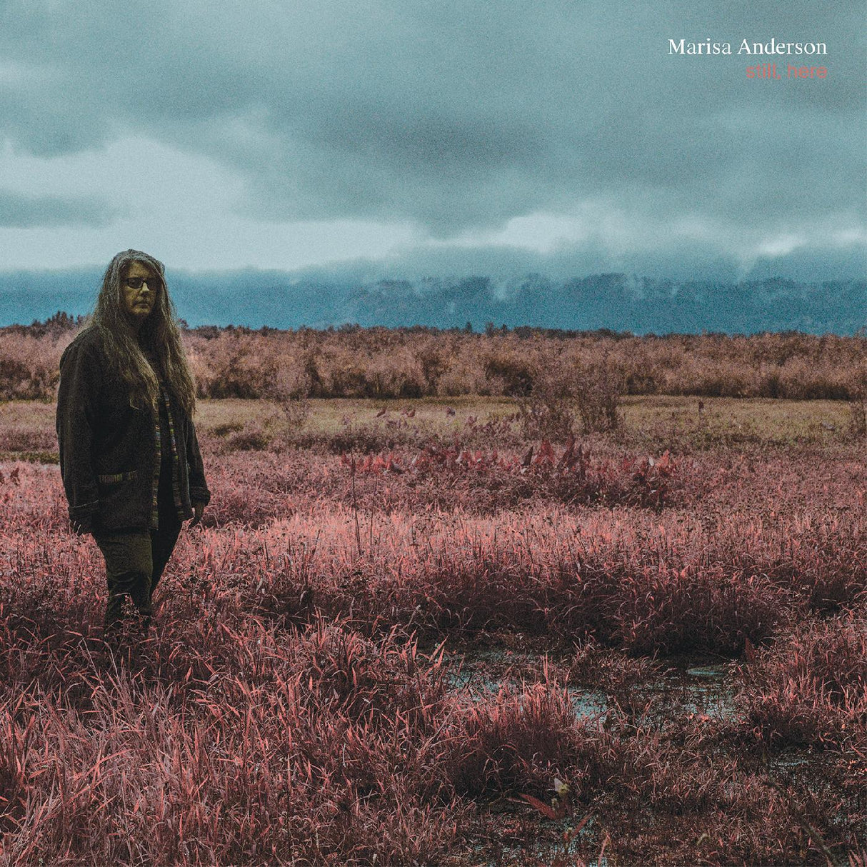 Marisa Anderson Still, Here [Records & LPs]