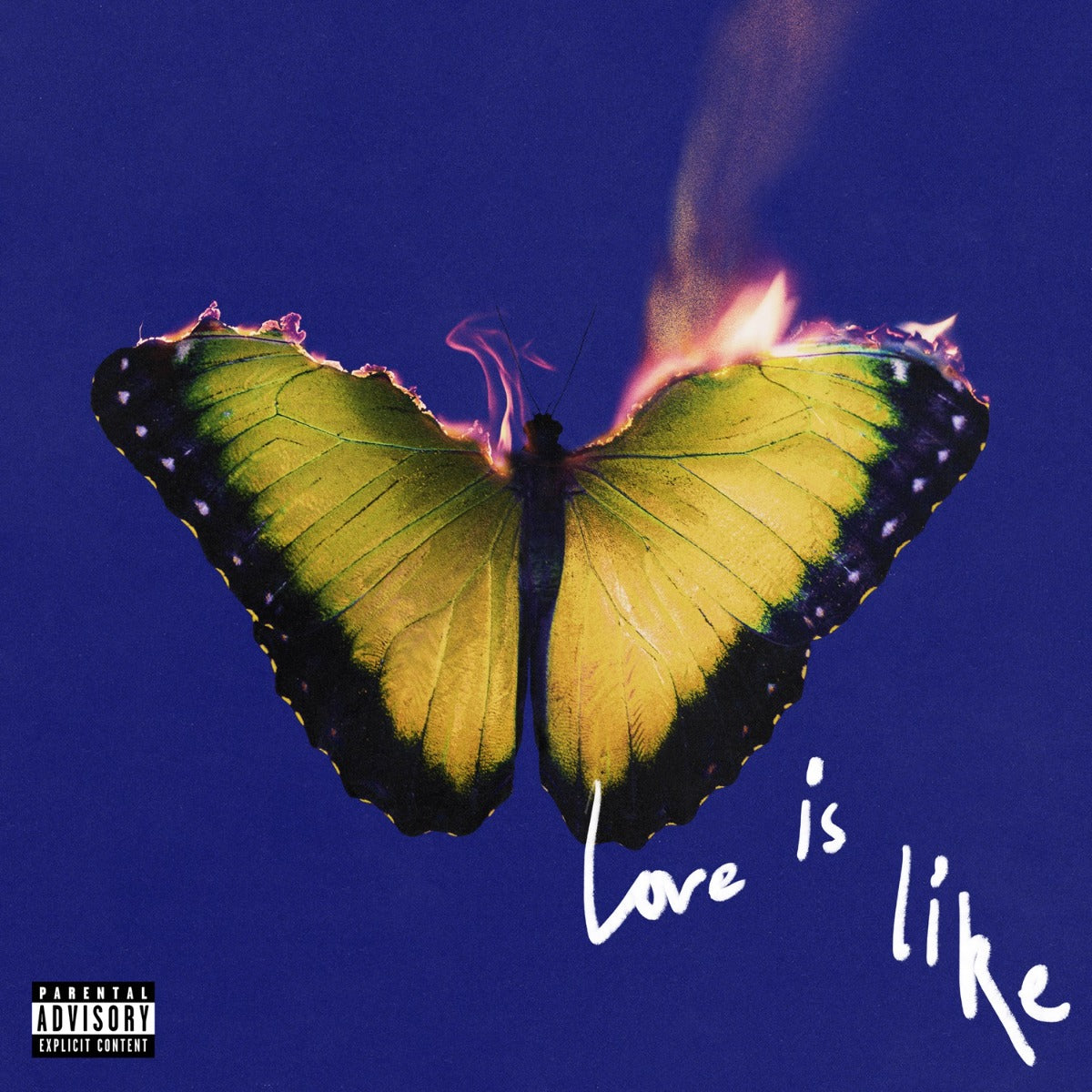 Love Is Like (CD)