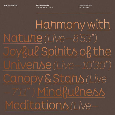 Salute to the Sun Live at HalleÌ St. Peter's (Vinyl)