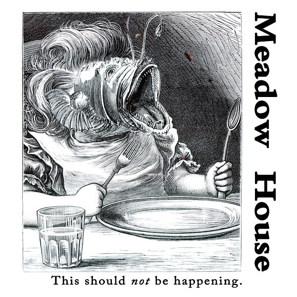 This Should Not Be Happening (Vinyl) - Apocalypse Vinyl