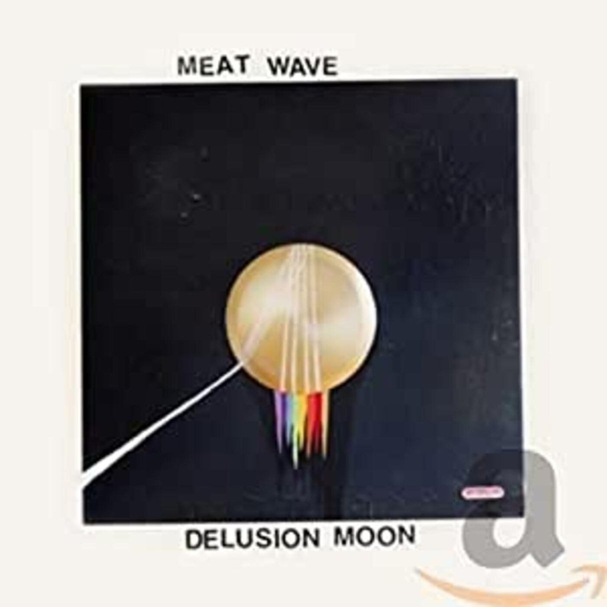 Delusion Moon (CD)