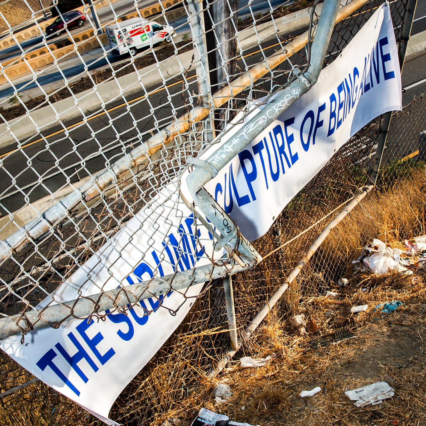 The Sublime Sculpture of Being Alive (Vinyl)