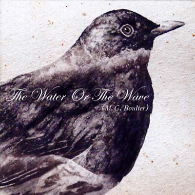 The Water or the Wave (CD)