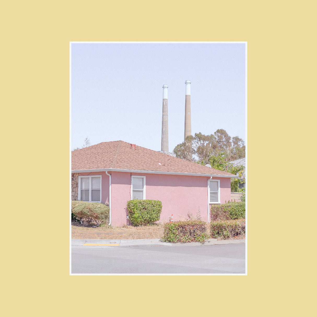 The Tinnitus Chorus (Vinyl) - Apocalypse Vinyl