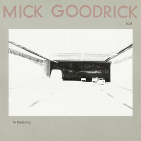 Mick Goodrick - In Pas(S)Ing (Ecm Luminessence Series) [LP] [Vinyl]