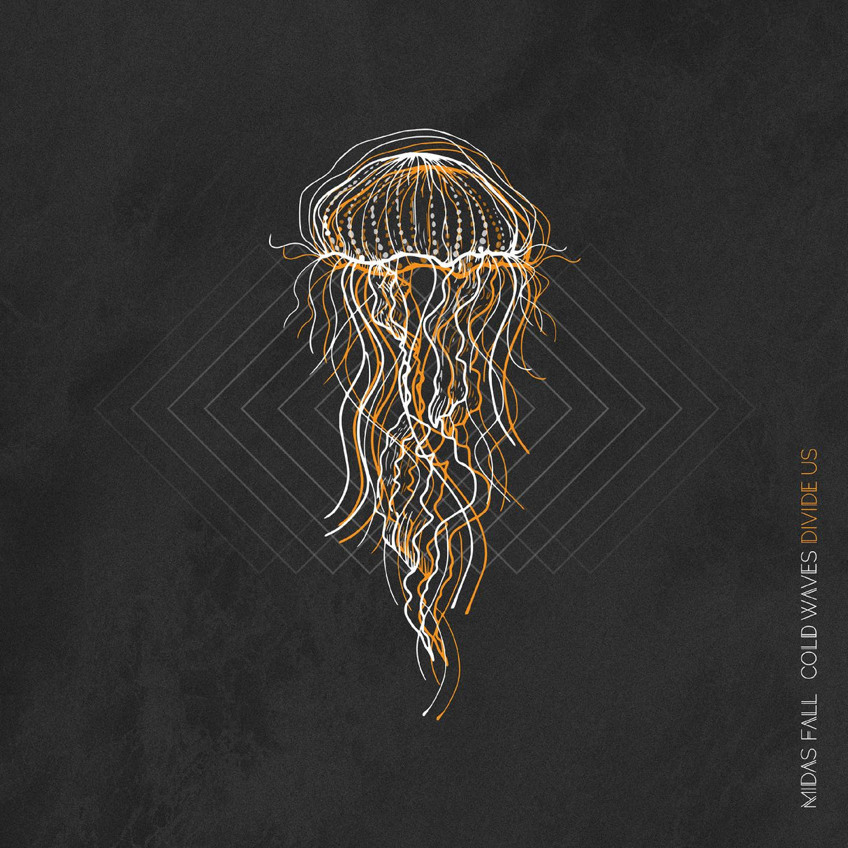 Cold Waves Divide Us (CD)