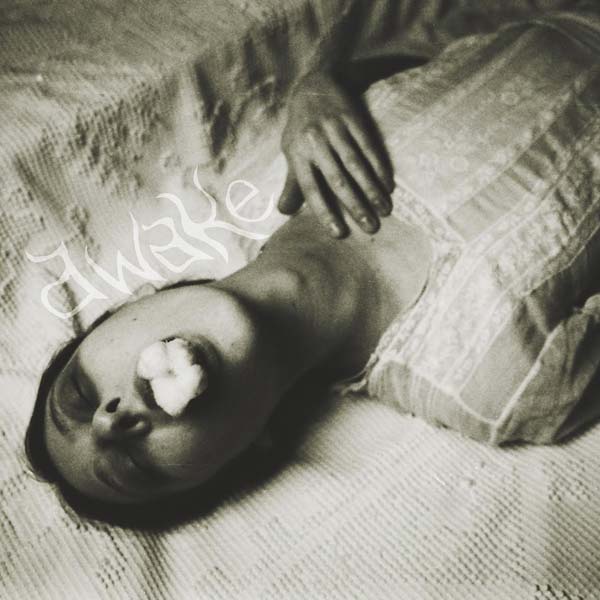 Awake (Vinyl) - Apocalypse Vinyl