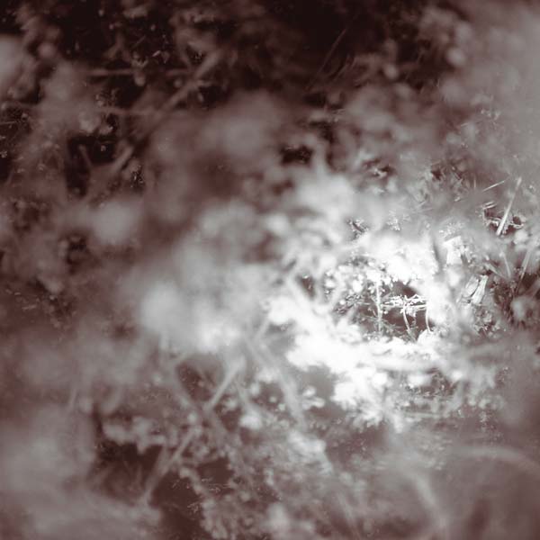 Don't Know, Just Walk (Vinyl) - Apocalypse Vinyl