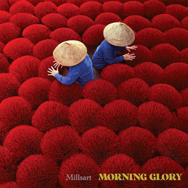 Morning Glory (Vinyl)