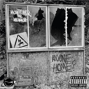 Anyone Home? (Vinyl) - Apocalypse Vinyl