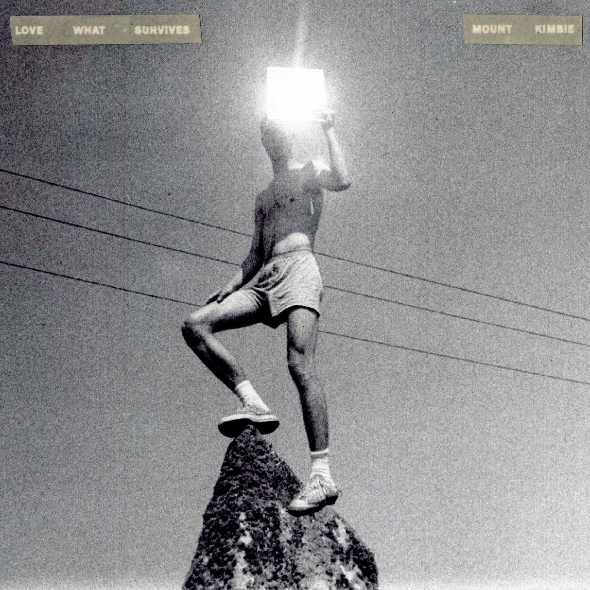 Love What Survives (Vinyl) - Apocalypse Vinyl