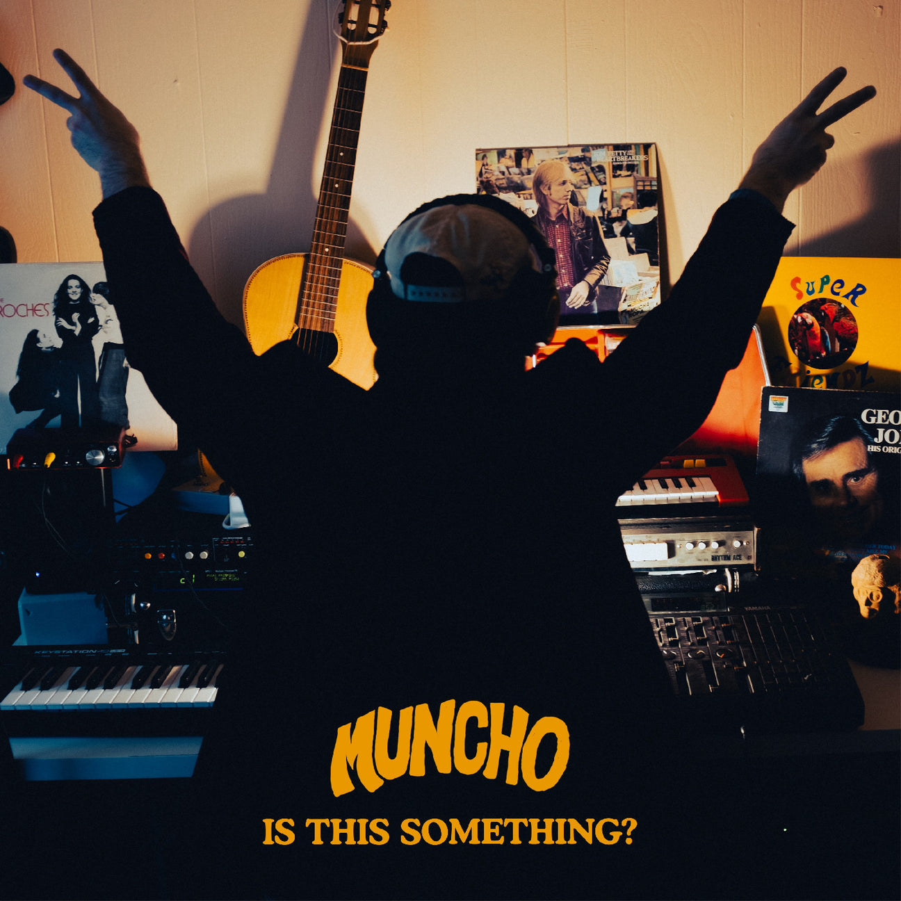 Is This Something? (Vinyl)