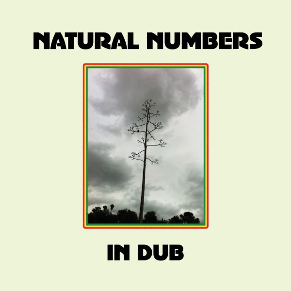 Natural Numbers in Dub (Vinyl)