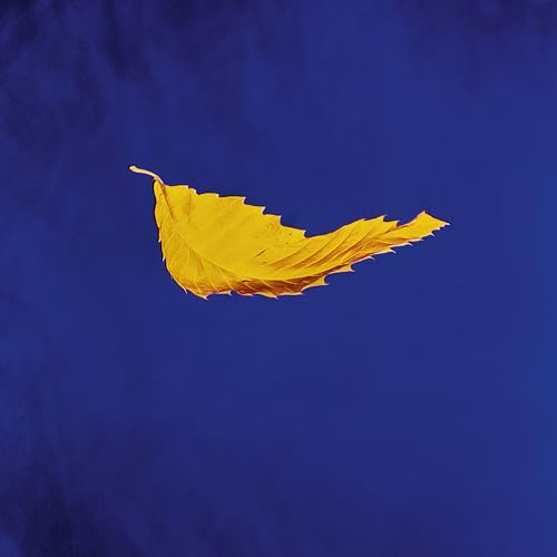 New Order True Faith (2023 年复刻版) [唱片 &amp; LP]