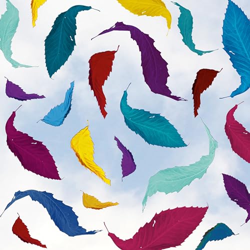 New Order True Faith Remix (2023 Remaster) [唱片 &amp; LP]